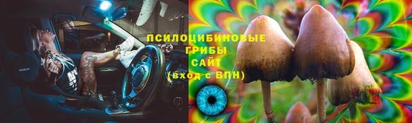 соль ск Волосово