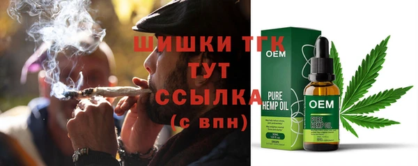 соль ск Волосово
