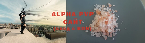 стафф Володарск