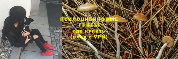 соль ск Волосово