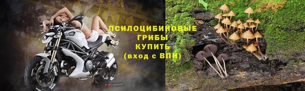 соль ск Волосово