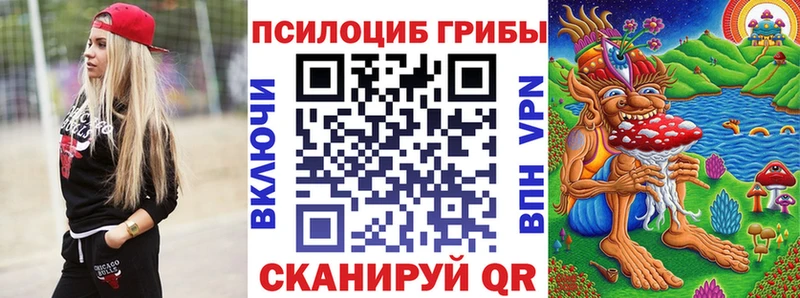 Псилоцибиновые грибы прущие грибы  Ярославль 